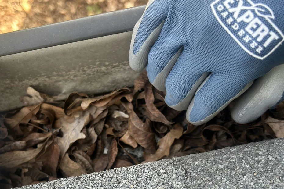 Gutter Cleaning Schertz TX