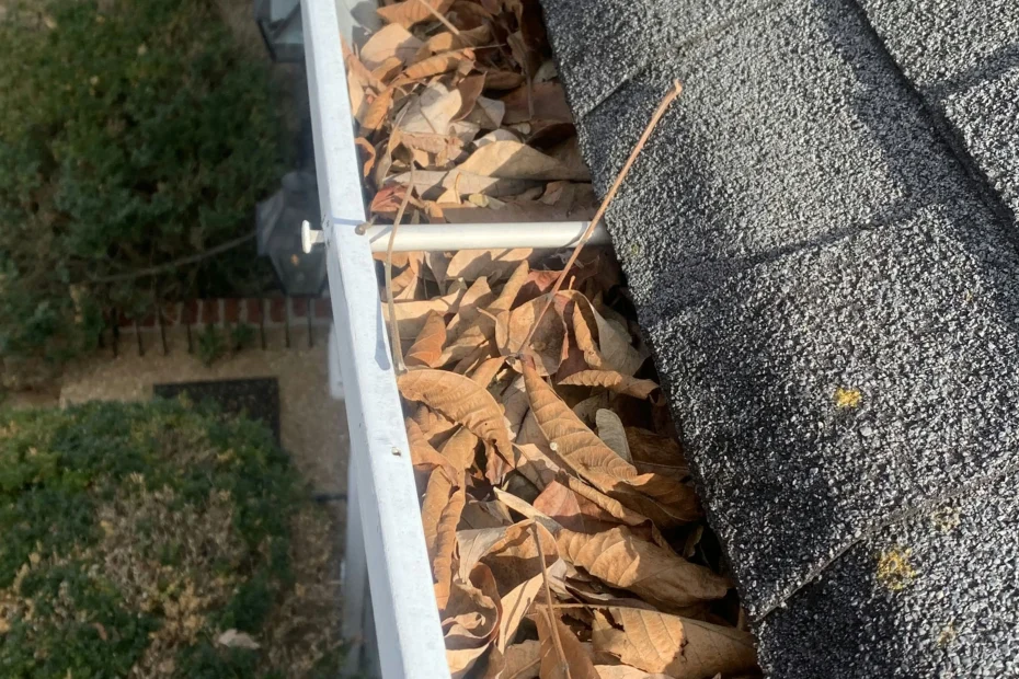 Gutter Cleaning Schertz TX