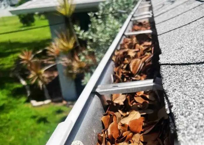 Gutter Cleaning Schertz TX home page